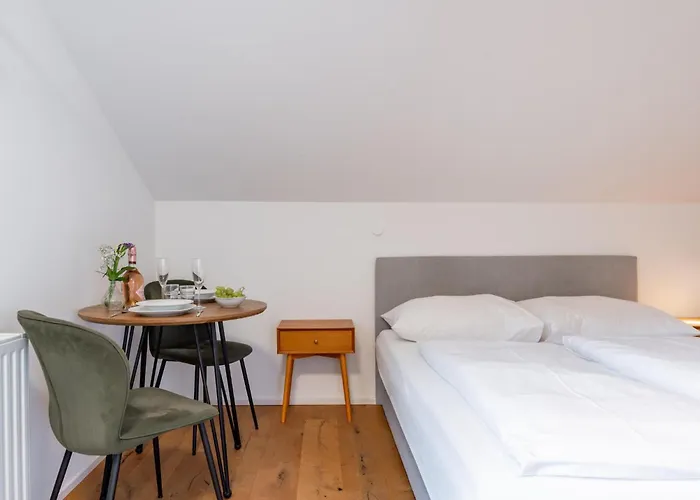 Leni 6 * 디엔텐암호크코니그