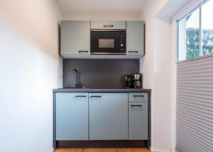 Leni 6 디엔텐암호크코니그